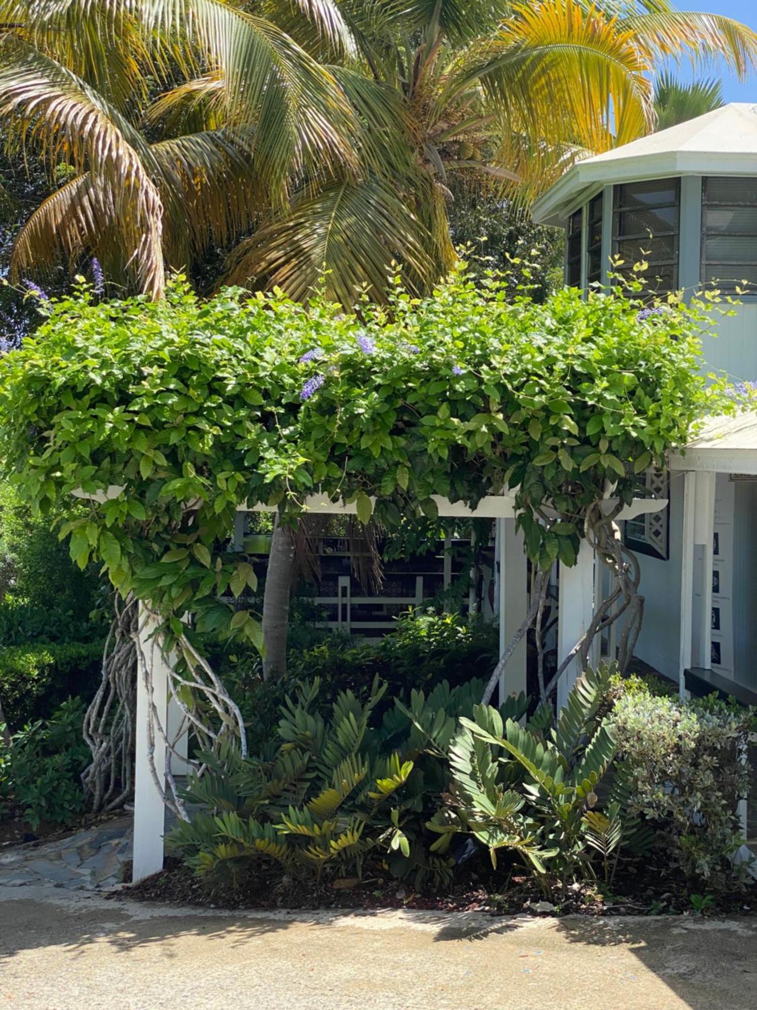 Club Seabourne Hotel Isla Culebra Luaran gambar