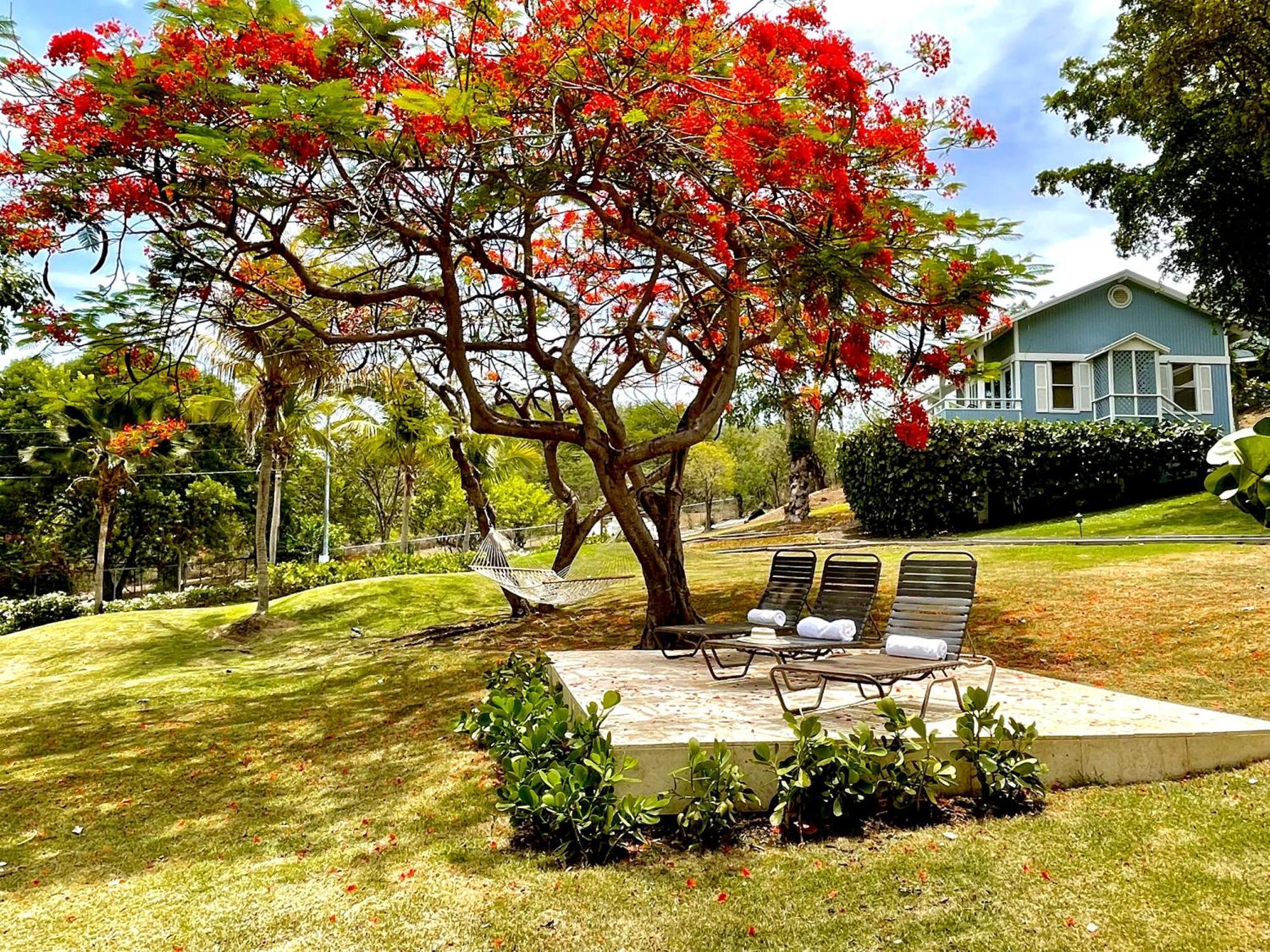 Club Seabourne Hotel Isla Culebra Luaran gambar